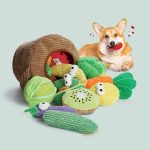 15 Pack Grocery Bag Dog Squeaky Toys