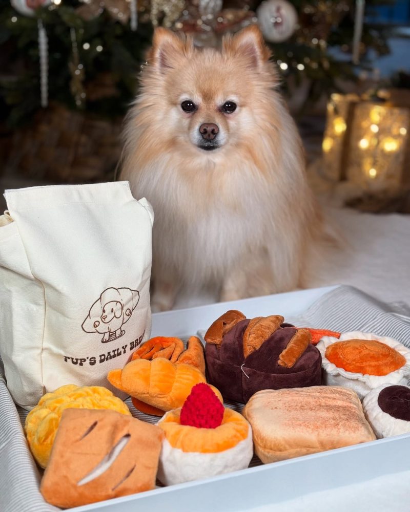 Nocciola 10 Pack Bread Dog Toys with a Bread Bag - Image 8