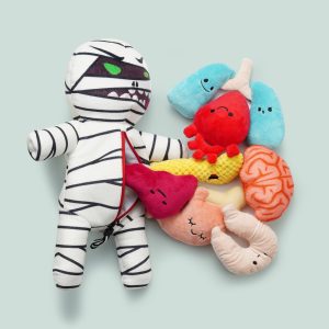 Nocciola Halloween Zombie Mummy Dog Toys with Organs