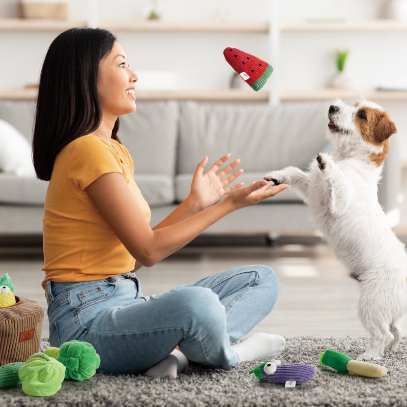 15 Pack Grocery Bag Dog Squeaky Toys - Image 6