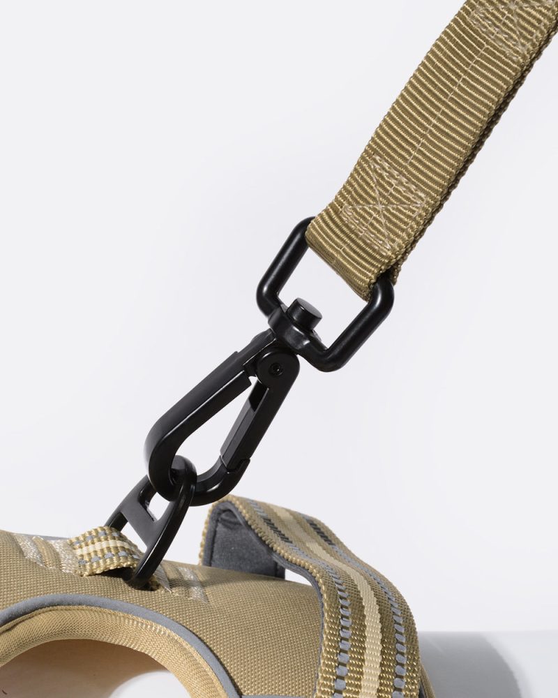 Heavy Duty Bungee Dog Leash - Khaki - Image 3