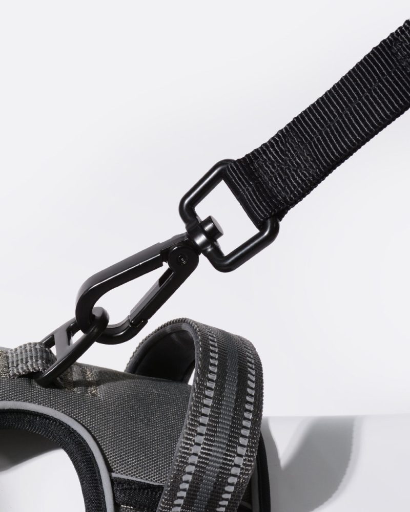 Heavy Duty Bungee Dog Leash - Classic Black - Image 3