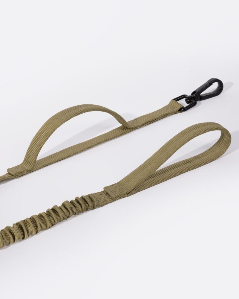 Heavy Duty Bungee Dog Leash - Khaki - Image 4