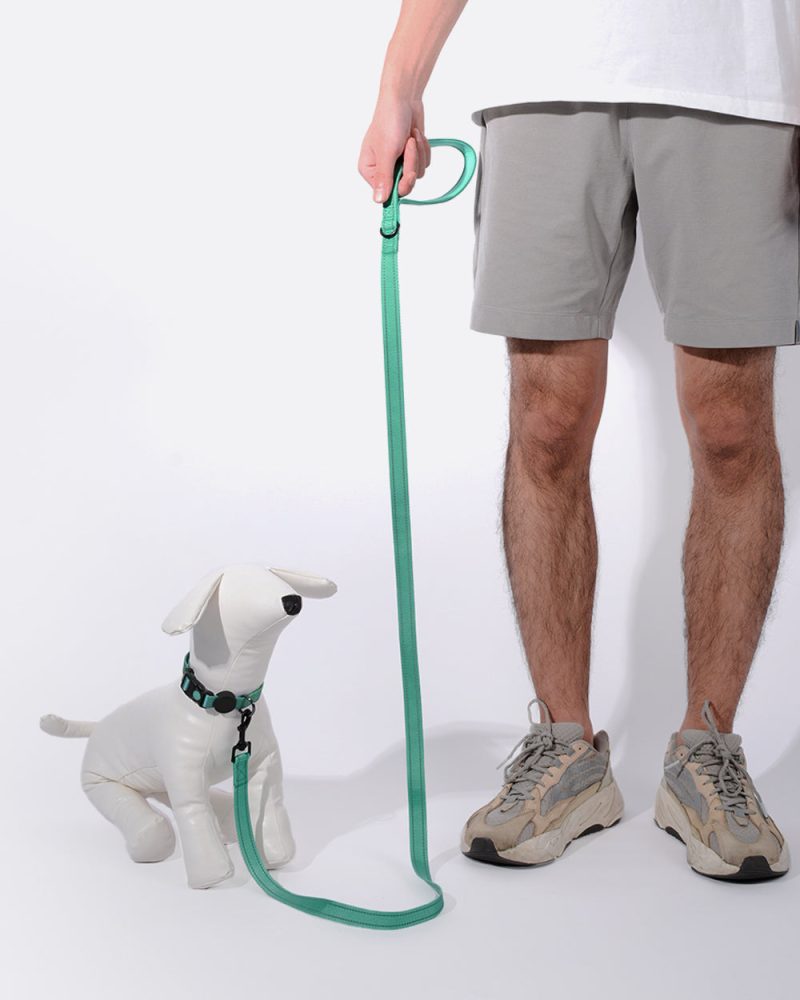 Simply Soft Reflective Dog Leash - Emerald - Image 2
