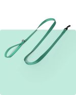 Simply Soft Reflective Dog Leash - Emerald