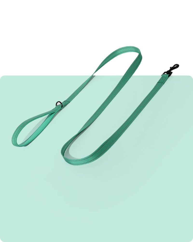 Simply Soft Reflective Dog Leash - Emerald