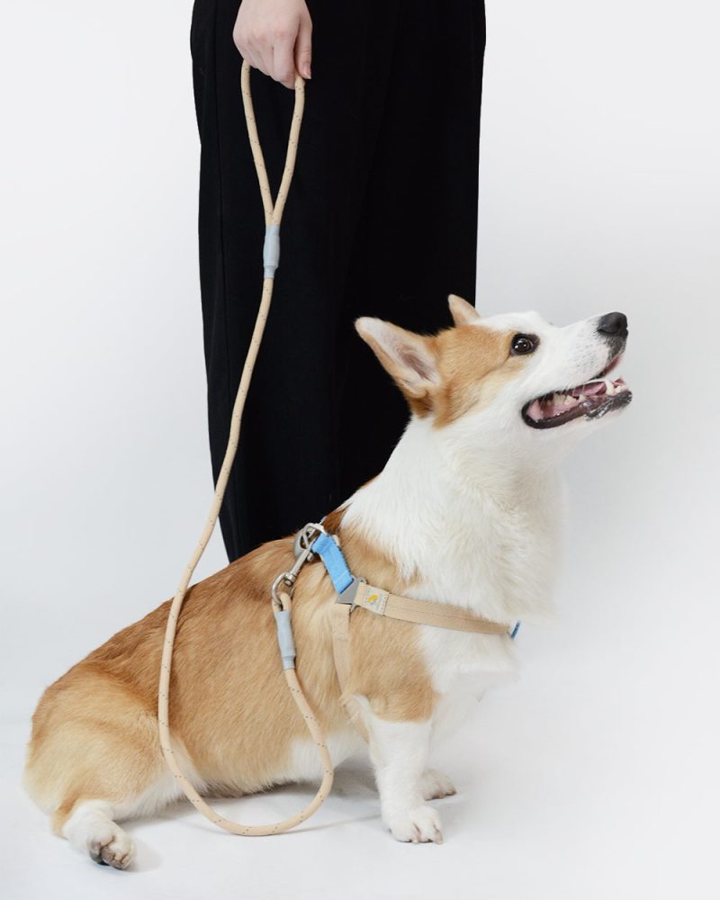 Reflective Rope Dog Leash - Sandbeach - Image 2