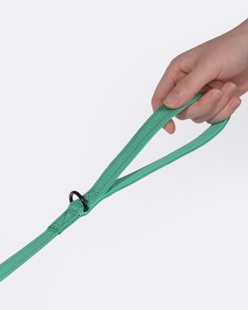Simply Soft Reflective Dog Leash - Emerald - Image 3