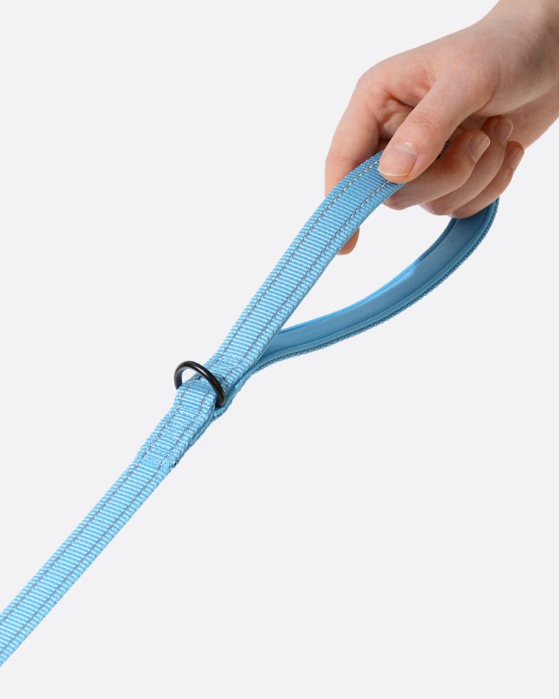 Simply Soft Reflective Dog Leash - Sky Blue - Image 3